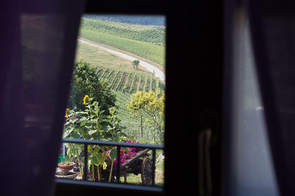 Agriturismo La Ca Veja Monforte D'Alba Eksteriør billede